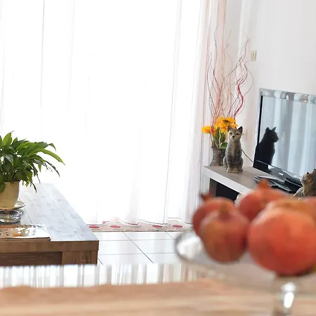 Apartment Diogenis *